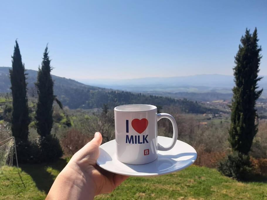 Casa Benucci Oliveta Tuscany