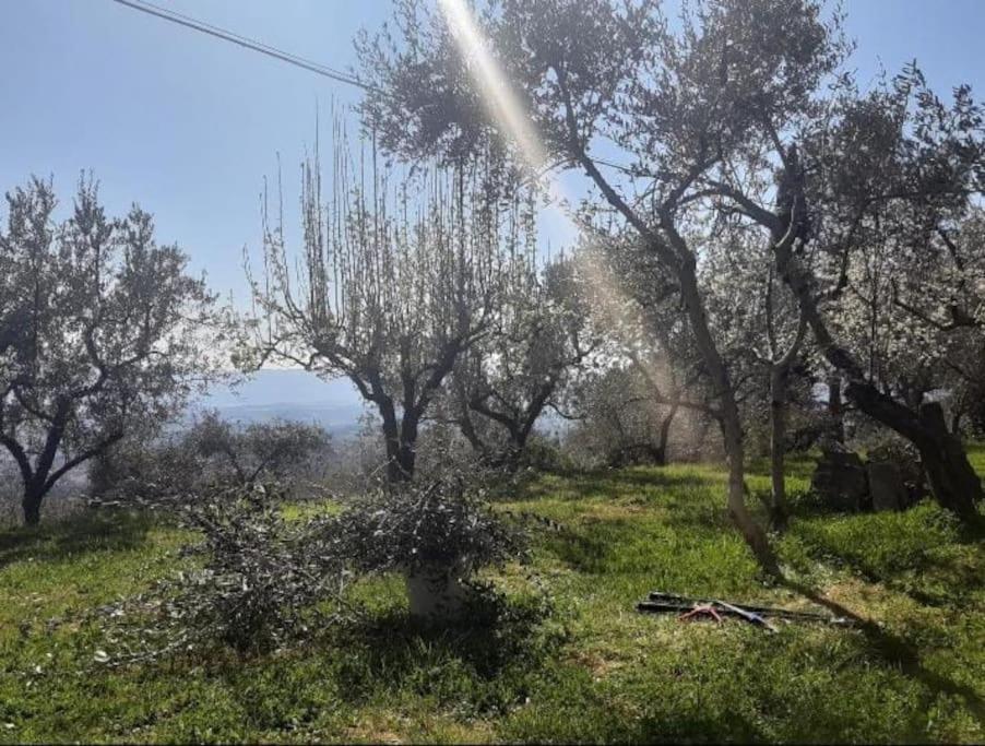 Casa Benucci Oliveta Tuscany Сasa de vacaciones Pulicciano