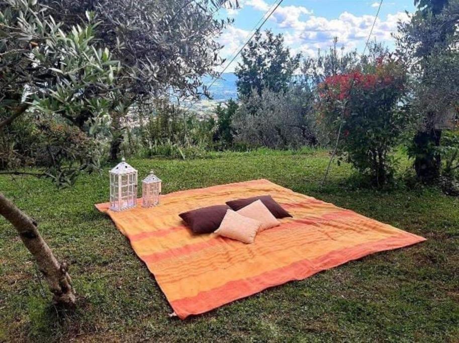 Casa Benucci Oliveta Tuscany Сasa de vacaciones *